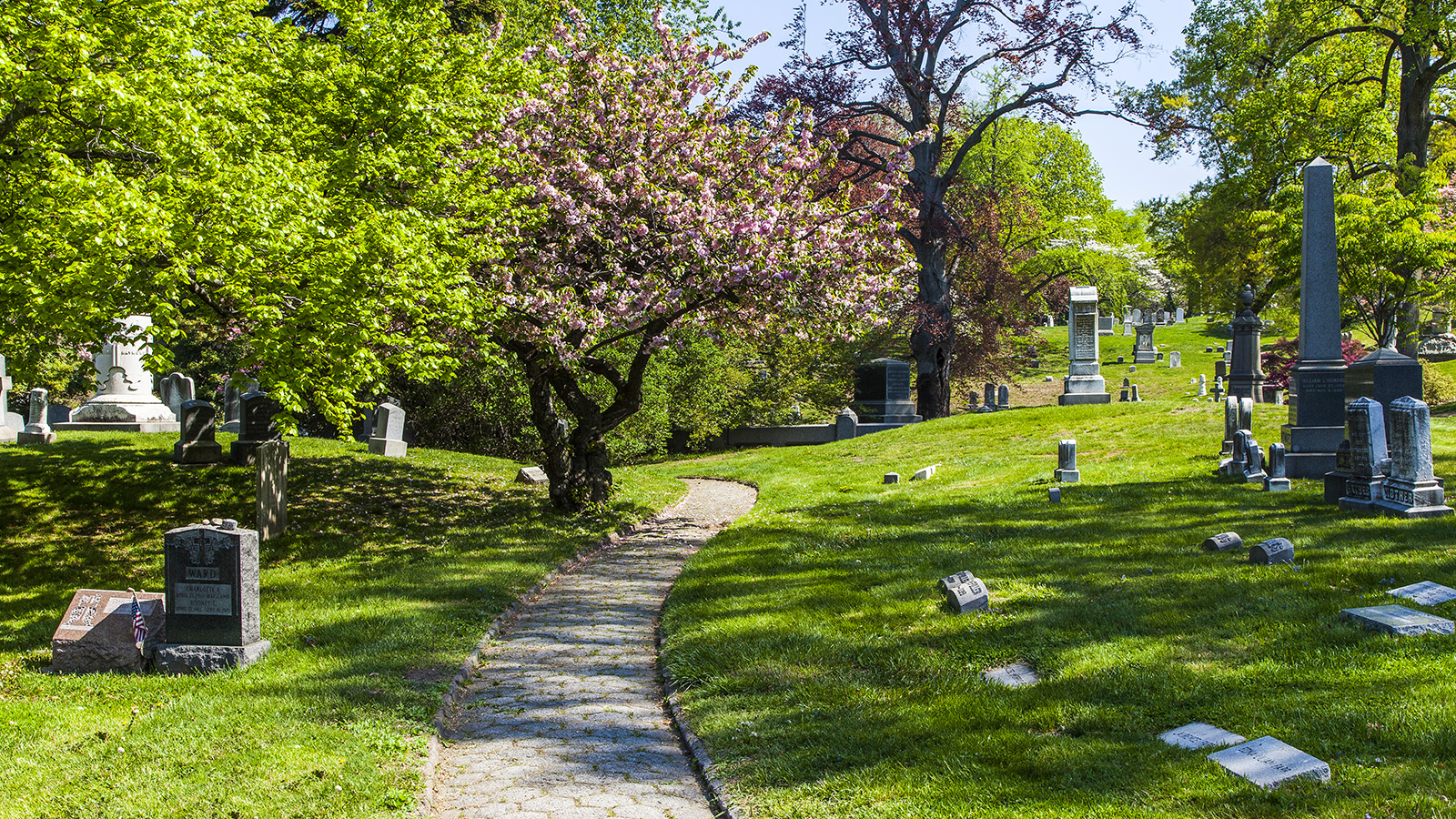 GreenWood Cemetery The Cultural Landscape Foundation